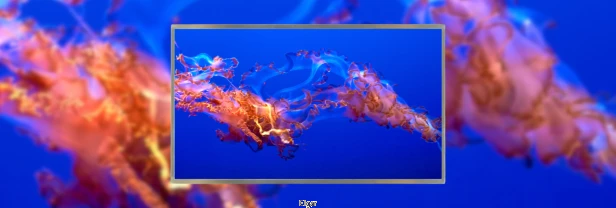 e0135a2d05f4bdd3e9c5e2d85aa116b7