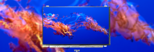 407cb666b45302408d4c15b9a83ec154