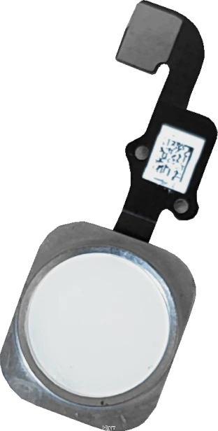 72f5ffb3a7e3d58fb4ac82440f463f6c