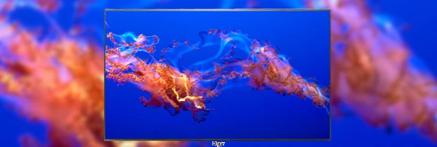 0441a1a4b365955022e34d07f70945e8