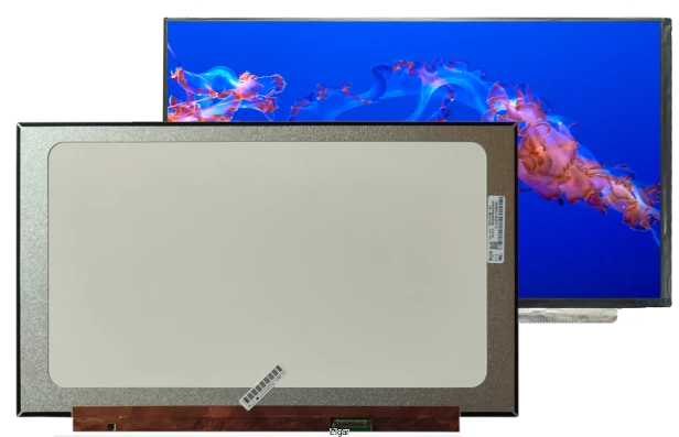 67a233aa5c17c11ba0b470da521e12c9