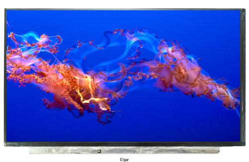 1dcf2d9b148585648e0b5aab0d88ddb5