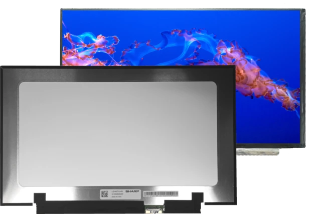 be040a40c93d89c999e3ddfa27ca0a1e